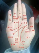 不只正在于预测未